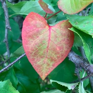 Meet your Posher, Gesette